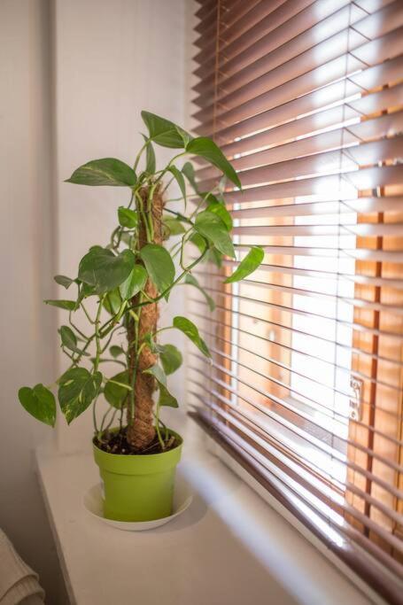A Lovely Apartment Near Railway Station And Arena. Tampere Exterior foto